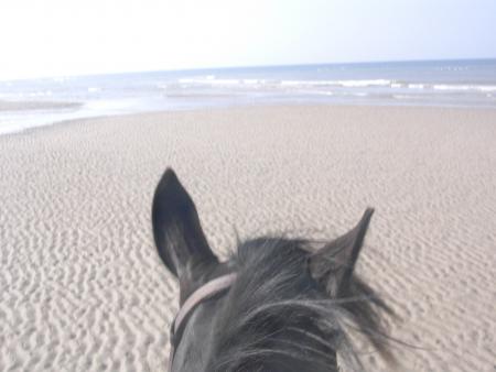 petit tour sur la plage